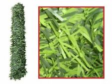 SIEPE SINTETICA ARTIFICIALE AD AGHI ARELLA SEMPREVERDE 3 x 1,5 mt 300 x 150 cm