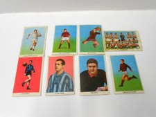 RASA 8 figurine cartonate