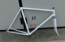 [17] TELAIO BICICLETTA BIANCHI COPPI 1956  DI COLORE CON FONDO BIANCO