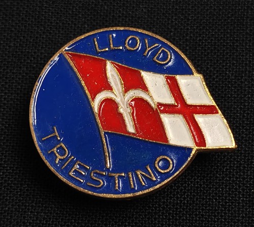 Distintivo pin lloyd - pin,