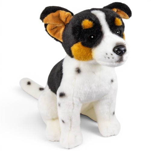 Carl dick jack russel - jack, nero