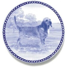 Basset Fauve de Bretagne -