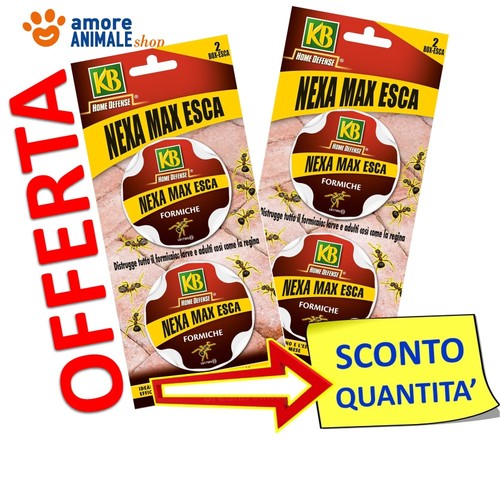 Nexa box per formiche - nexa, →