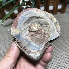 261g Fantastico esemplare di