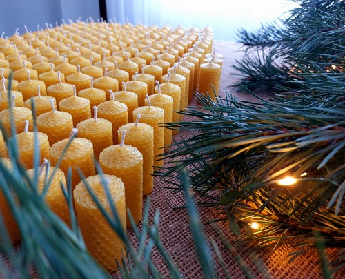 212 Pezzi Candele Cera Api