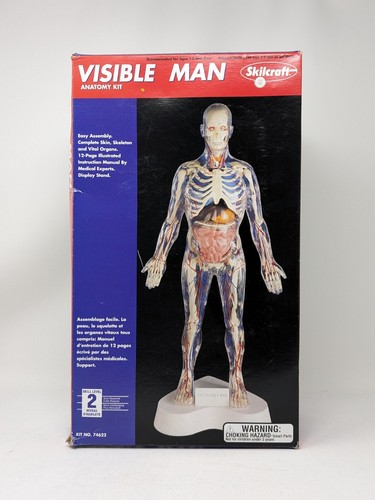 Visible man anatomy kit 74622 - man, #74622