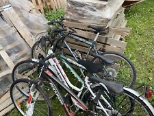 Dino Bikes Aurelia Plus 24