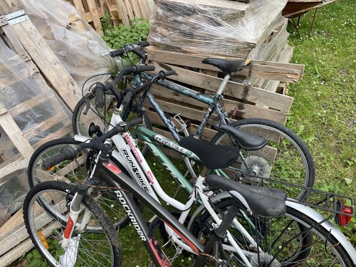 Dino bikes aurelia plus - plus, 24