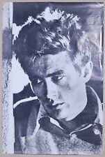 Poster afiches James Dean collezionismo cartaceo Holmes Mc Dougall 1979