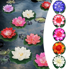 Fiori di Loto Galleggianti