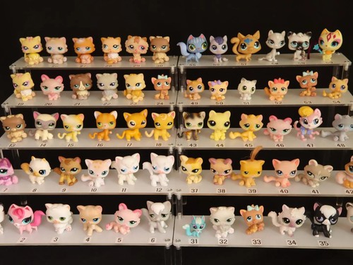 Gatti lps littlest - gatti, shop