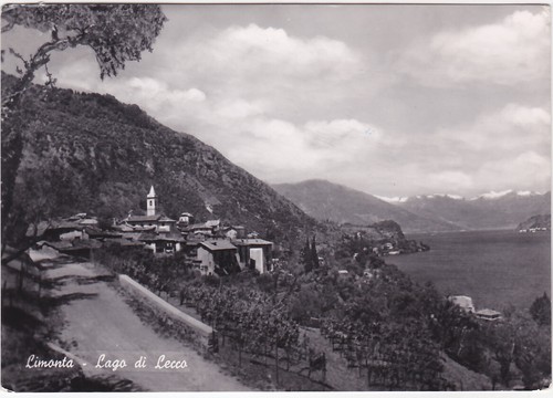 Limonta oliveto lario - -,