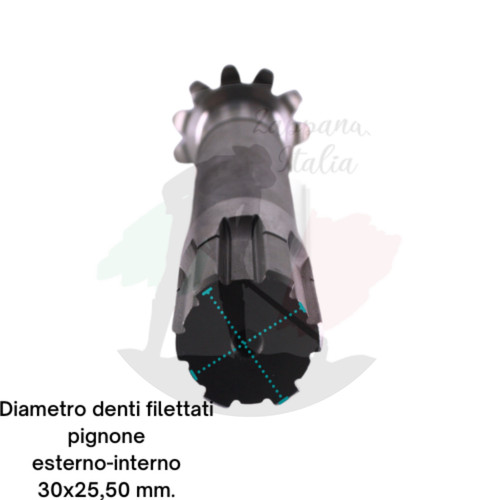 Goldoni pignone fresa 11 - pignone,