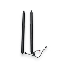 Coppia ammortizzatori cofano