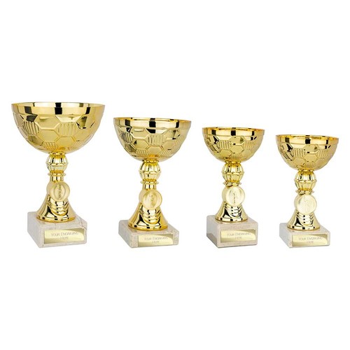 Trofeo coppa presentazione - coppa,