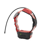 Collare satellitare dog - collare, tr-dog
