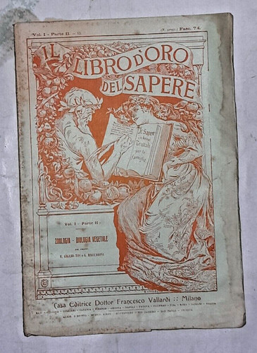 Libro oro del - libro,