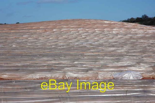 Photo 6x4 poly tunnels - photo,