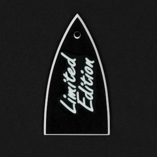 Guitar truss rod cover - truss,