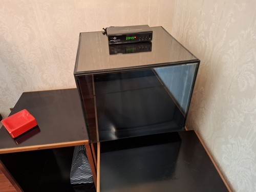 Pollici - tv,