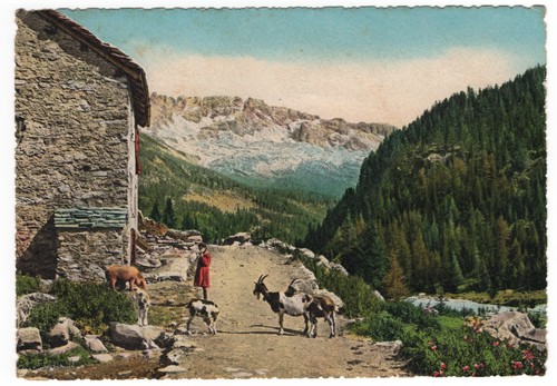 Bambina con caprette strada - bambina,