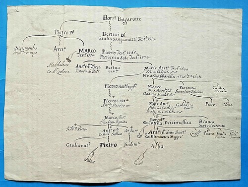 Hh83 albero genealogico - hh83-albero,