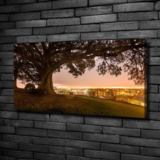 Stampa su tela Tulup Wall Art