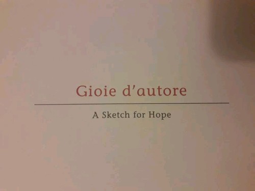 Libro introvabile gioie - libro,