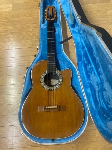 Chitarra elettrica acustica