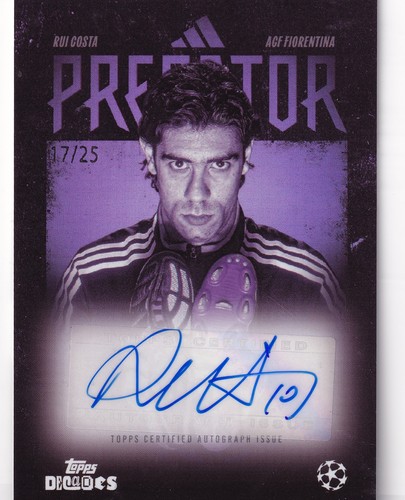 Autografo manuel rui costa - autografo,