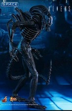 Hot Toys MMS354 Alien