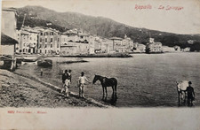 Cartolina primi '900 Rapallo