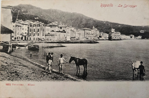 Cartolina primi 900 rapallo - primi,