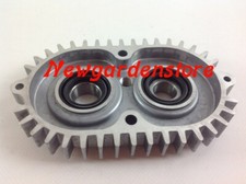 Scatola ingranaggi trattorino