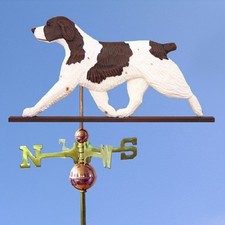 Bretagna Spaniel Intagliato a