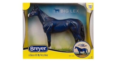 Cavalli breyer taglia - cavalli,
