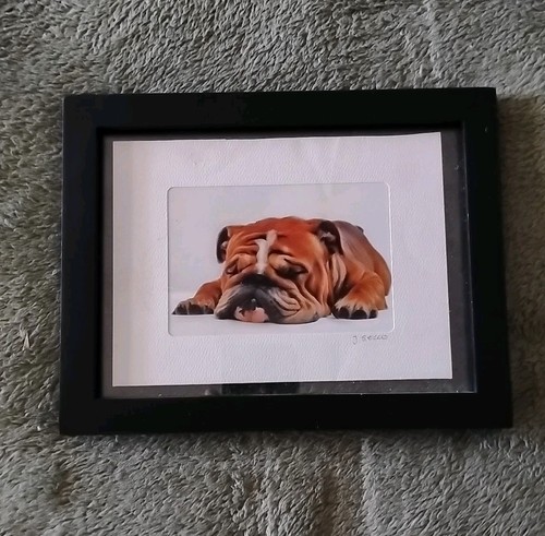 English bulldog puppy - english,