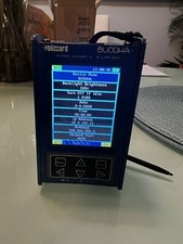 Buddha bufera di neve