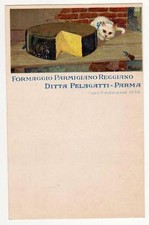 CARTOLINA PUBBLICITARIA DITTA