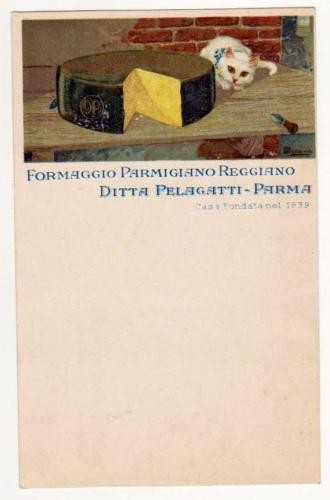 Cartolina pubblicitaria ditta - cartolina,