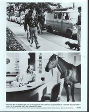 Hot to Trot (1988) foto film