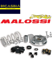 15517 - VARIATORE MULTIVAR