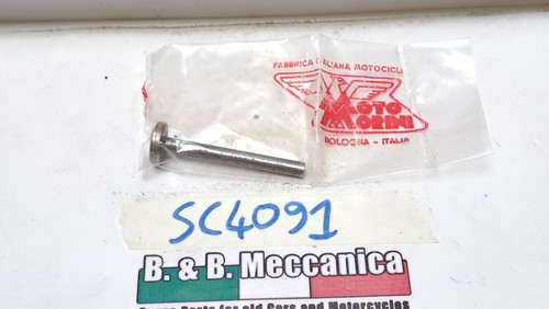 Asta spingi disco - asta,