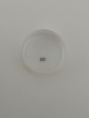 Rolex 2030 4478 chiavetta - rolex, 2030-4478-chiavetta