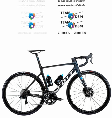Adesivi telaio team - adesivi,