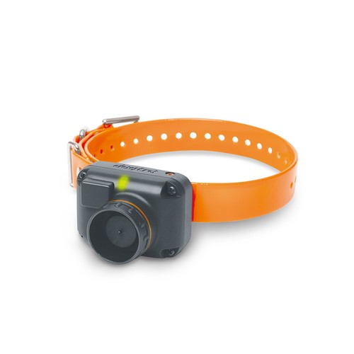 Dogtra 2500 collare - dogtra,