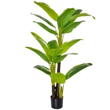 Homcom banano pianta - homcom, vaso