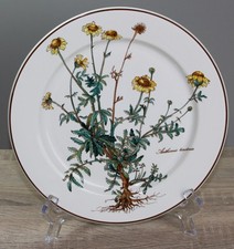 Piatto da portata Villeroy & Boch V&B Botanica circa Ø 24 cm CON RADICI 