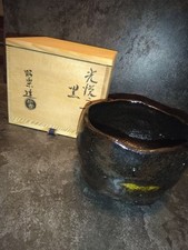 Shoraku Sasaki Koetsu Teiera