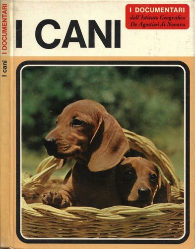 Cani adriano torregrossa - cani., .